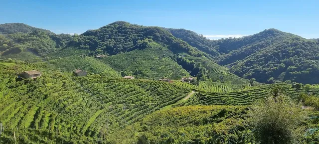 Consorzio Pro Loco del Valdobbiadenese